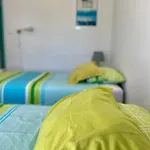 Native Surfhouse *